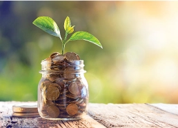 Smaill plant growing from glass jar with coins.
